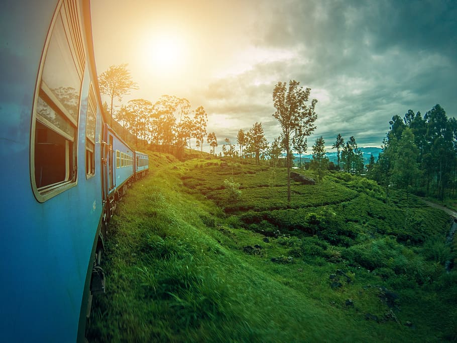 Sri Lanka Landscape